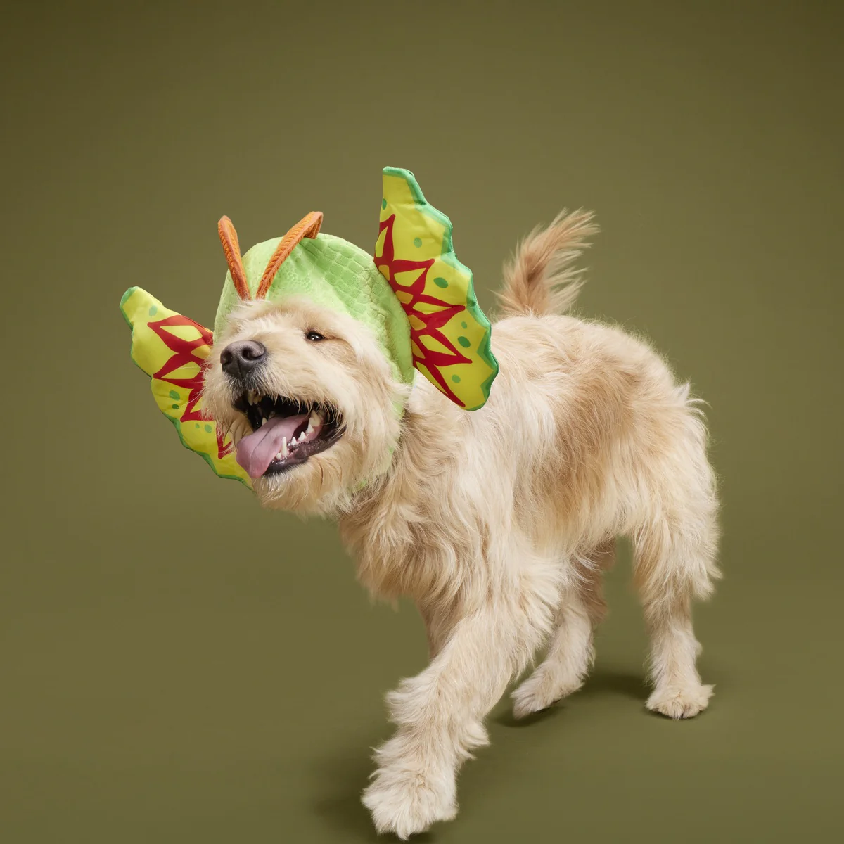 Spittin' Image Dino Collar Plush Wearable Dog Toy - Image 4