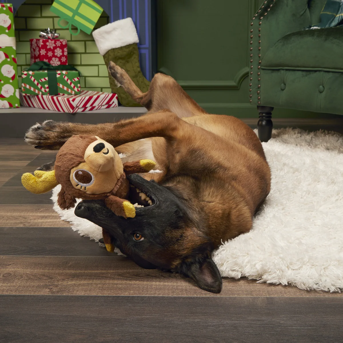 Splootolph Plush Tug Dog Toy - Image 3