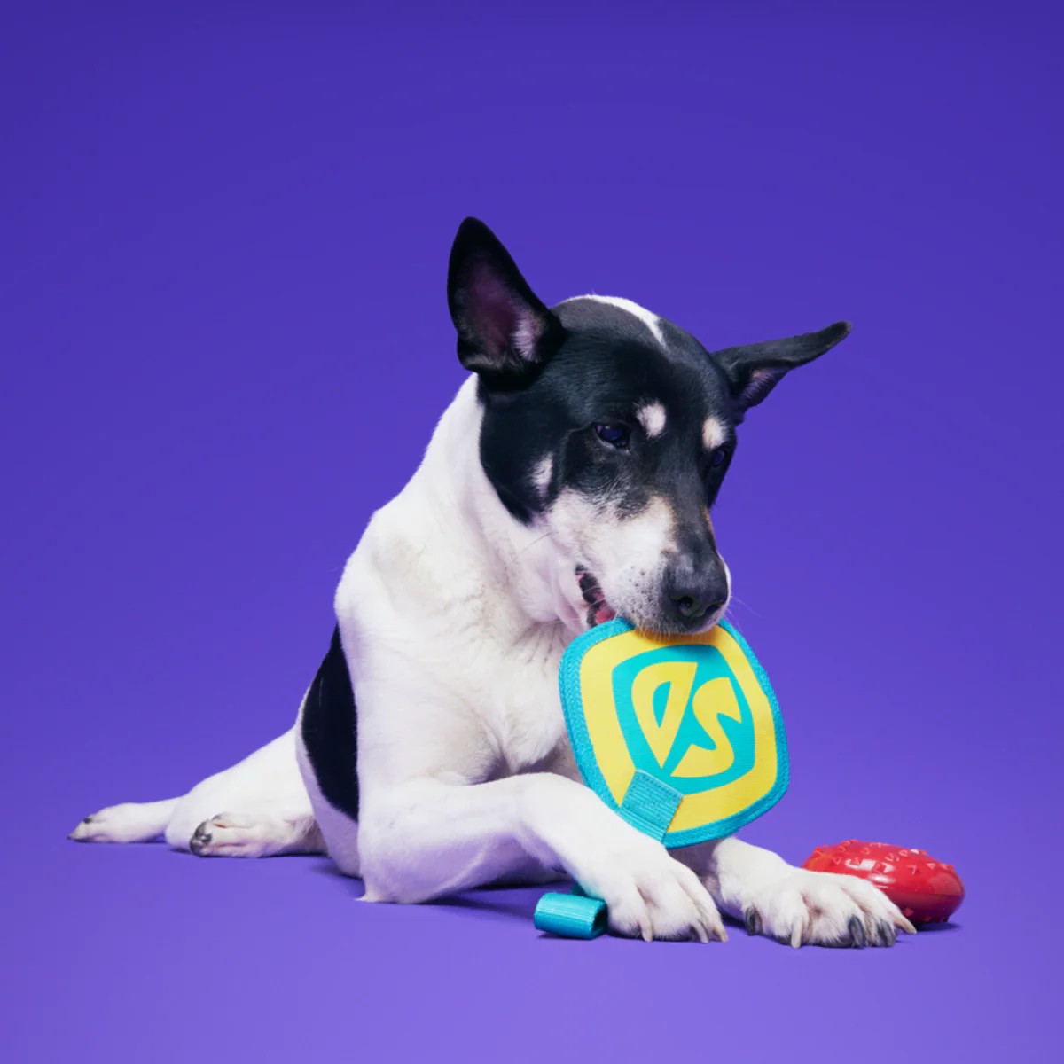 Spooky Scooby™ Name Tag - Image 3