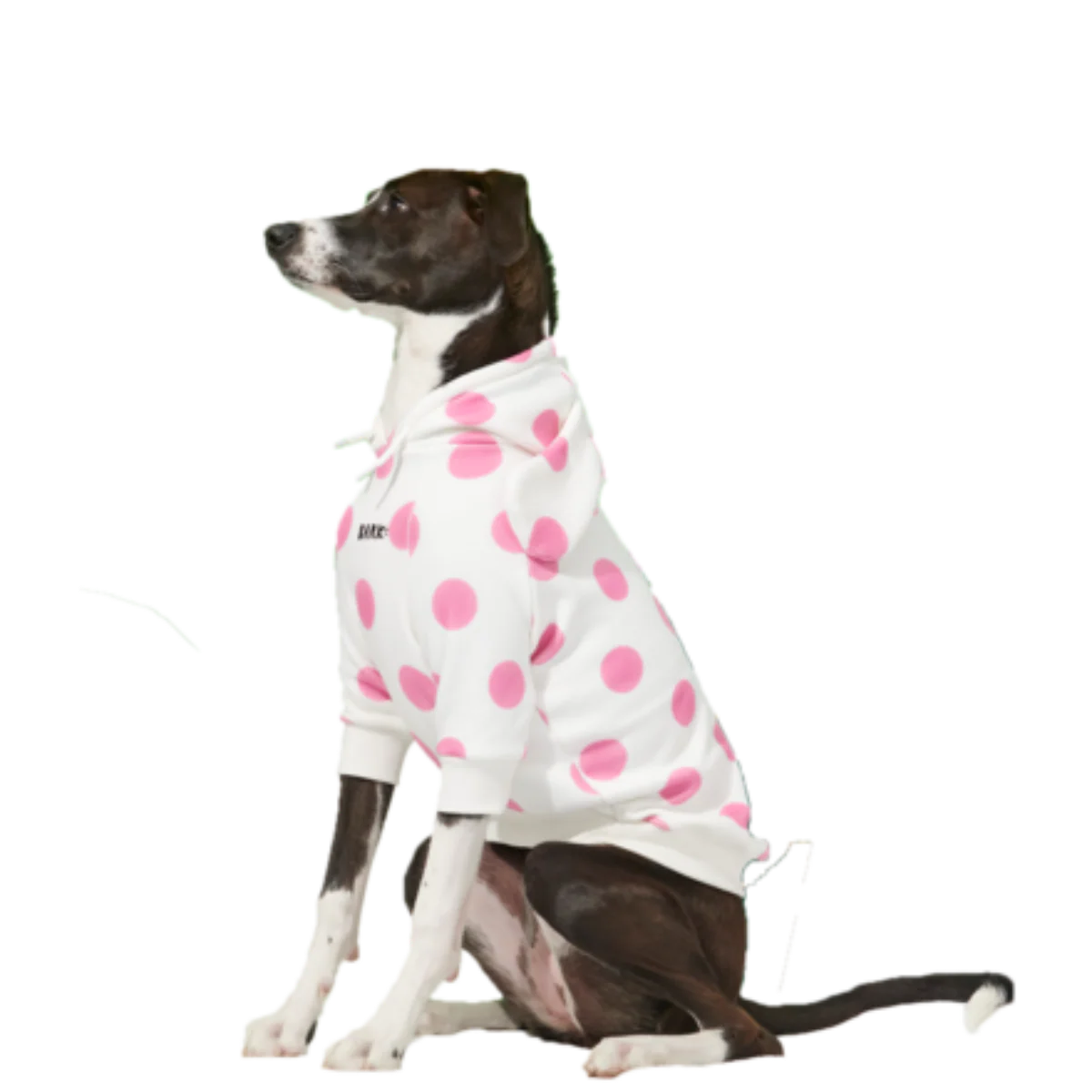 Spotted Elephant⢠Dog Hoodie - Image 5