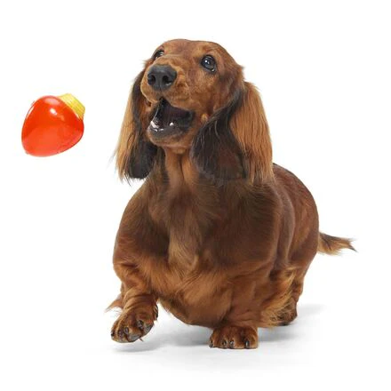 Squeak Every Bulb Durable Super Chewer Gnaw Dog Toy - Image 2