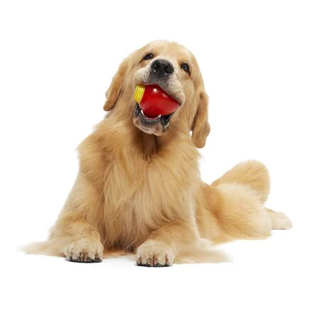 Squeak Every Bulb Durable Super Chewer Gnaw Dog Toy - Image 3