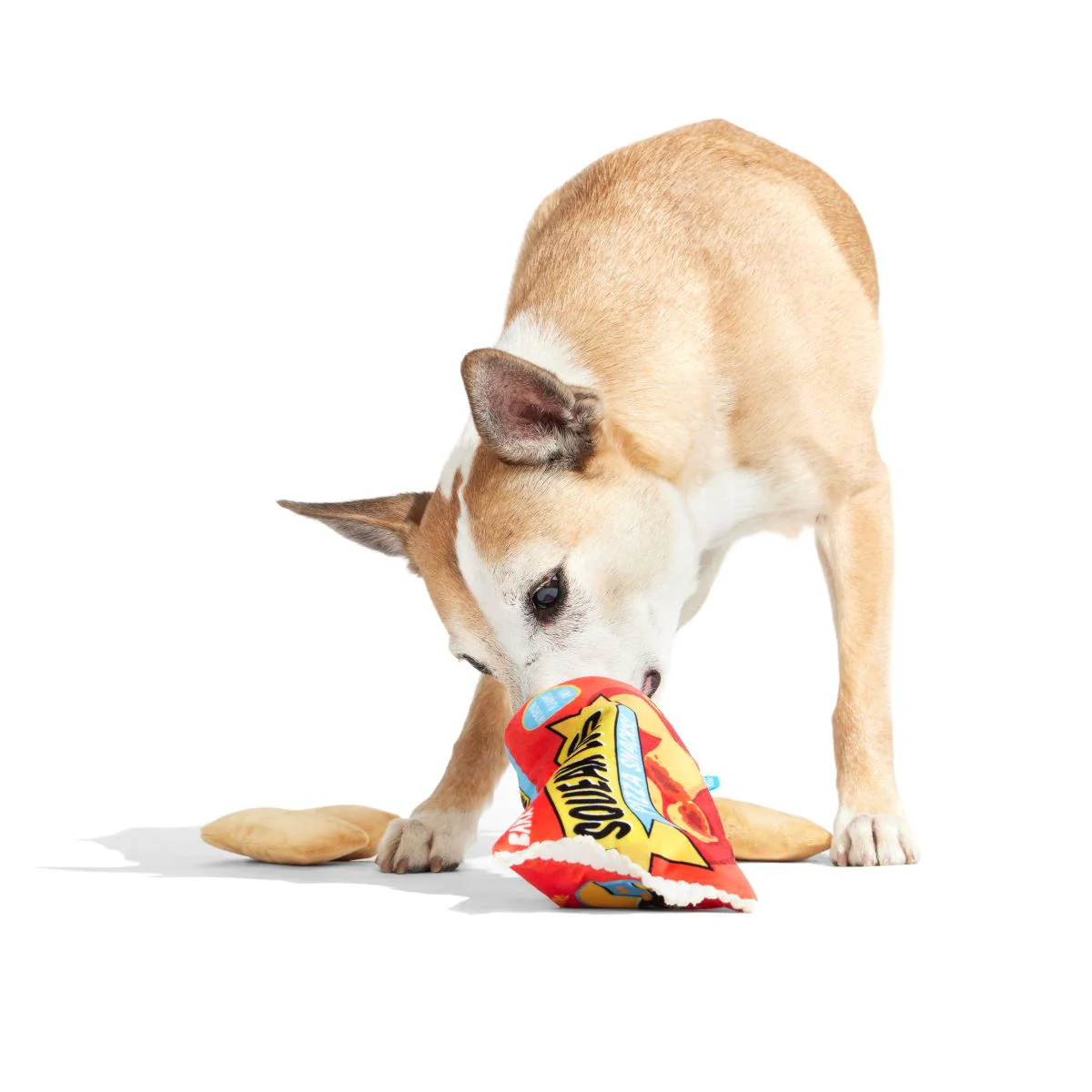 Squeak Lovers Pizza Snacks Plush Multi-Part + Enrichment Dog Toy - Image 4