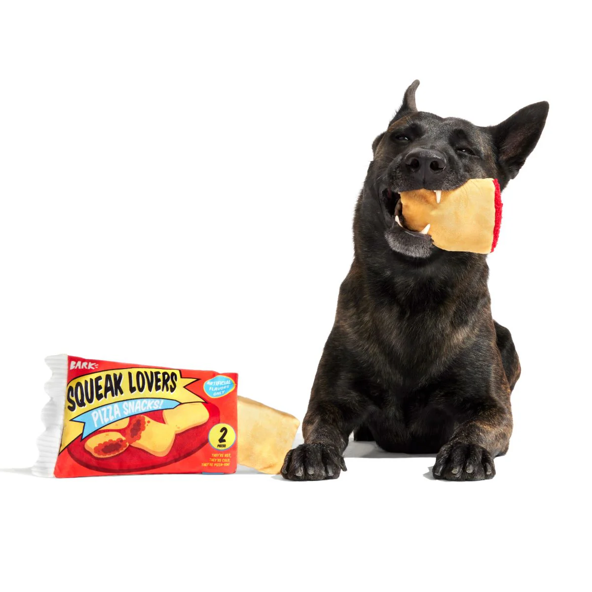 Squeak Lovers Pizza Snacks Plush Multi-Part + Enrichment Dog Toy - Image 5