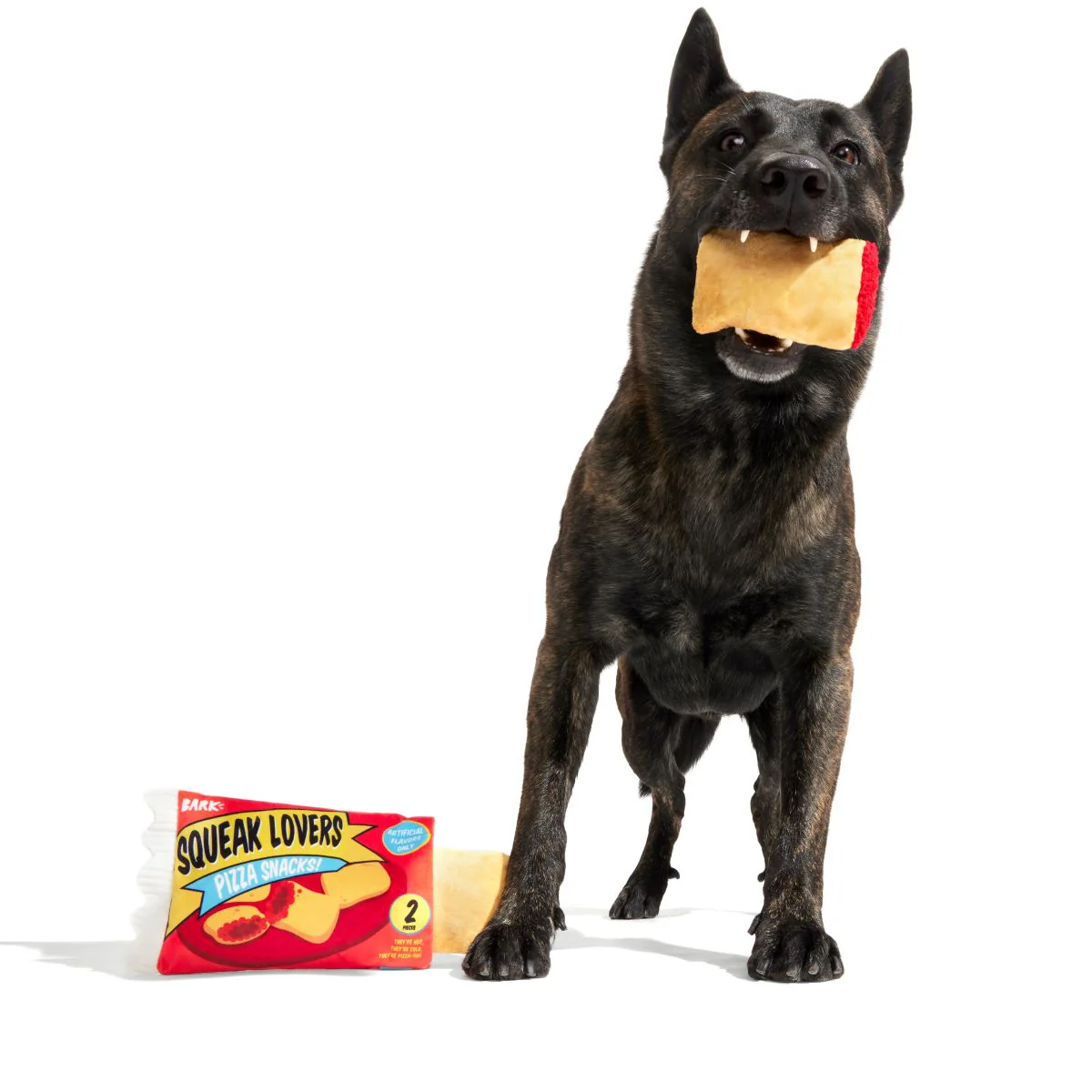 Squeak Lovers Pizza Snacks Plush Multi-Part + Enrichment Dog Toy - Image 6