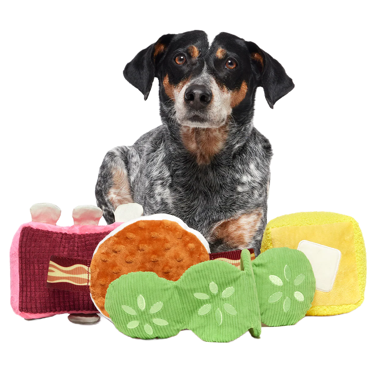 Squeak & Three Plush Multi-Part Dog Toy - Image 2