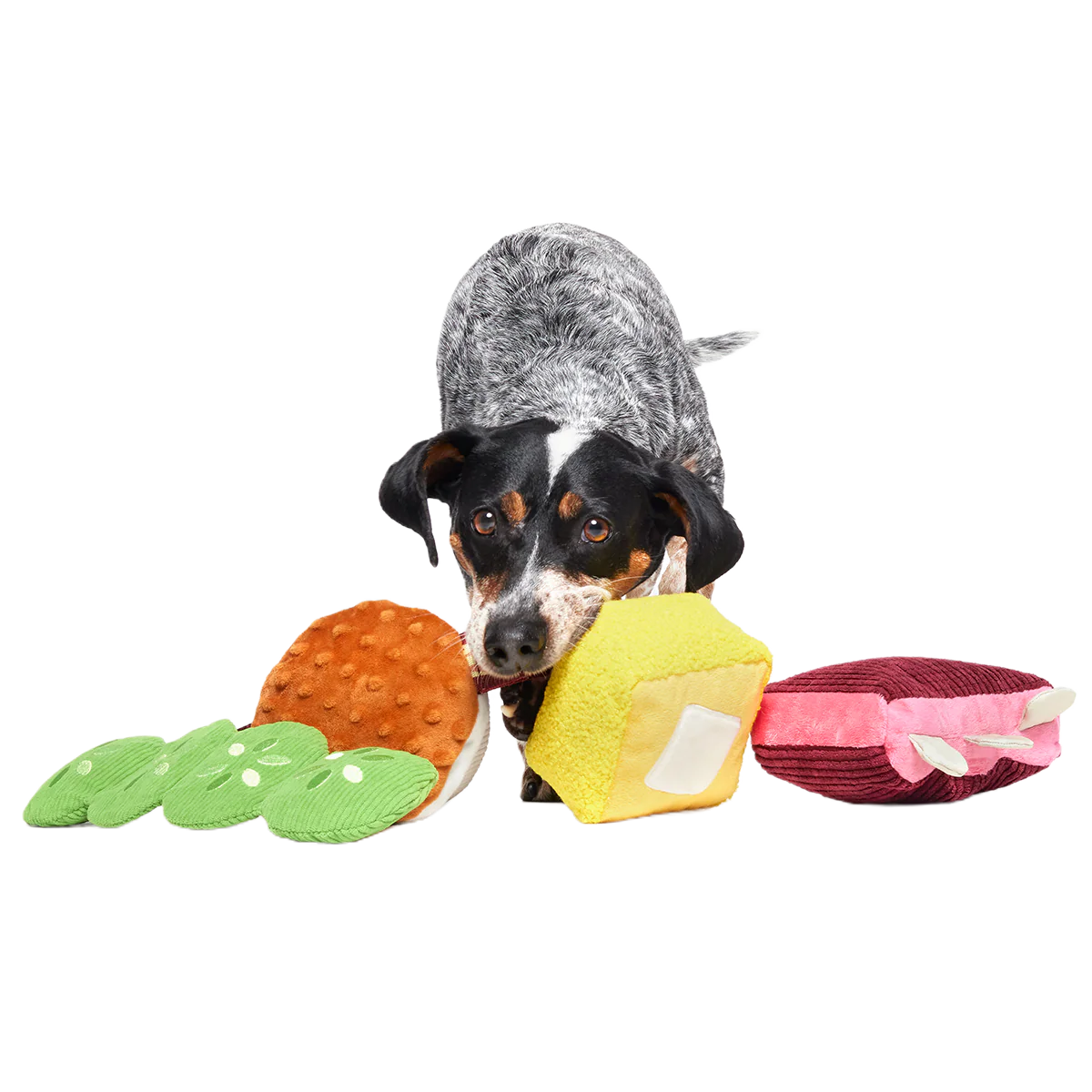 Squeak & Three Plush Multi-Part Dog Toy - Image 3