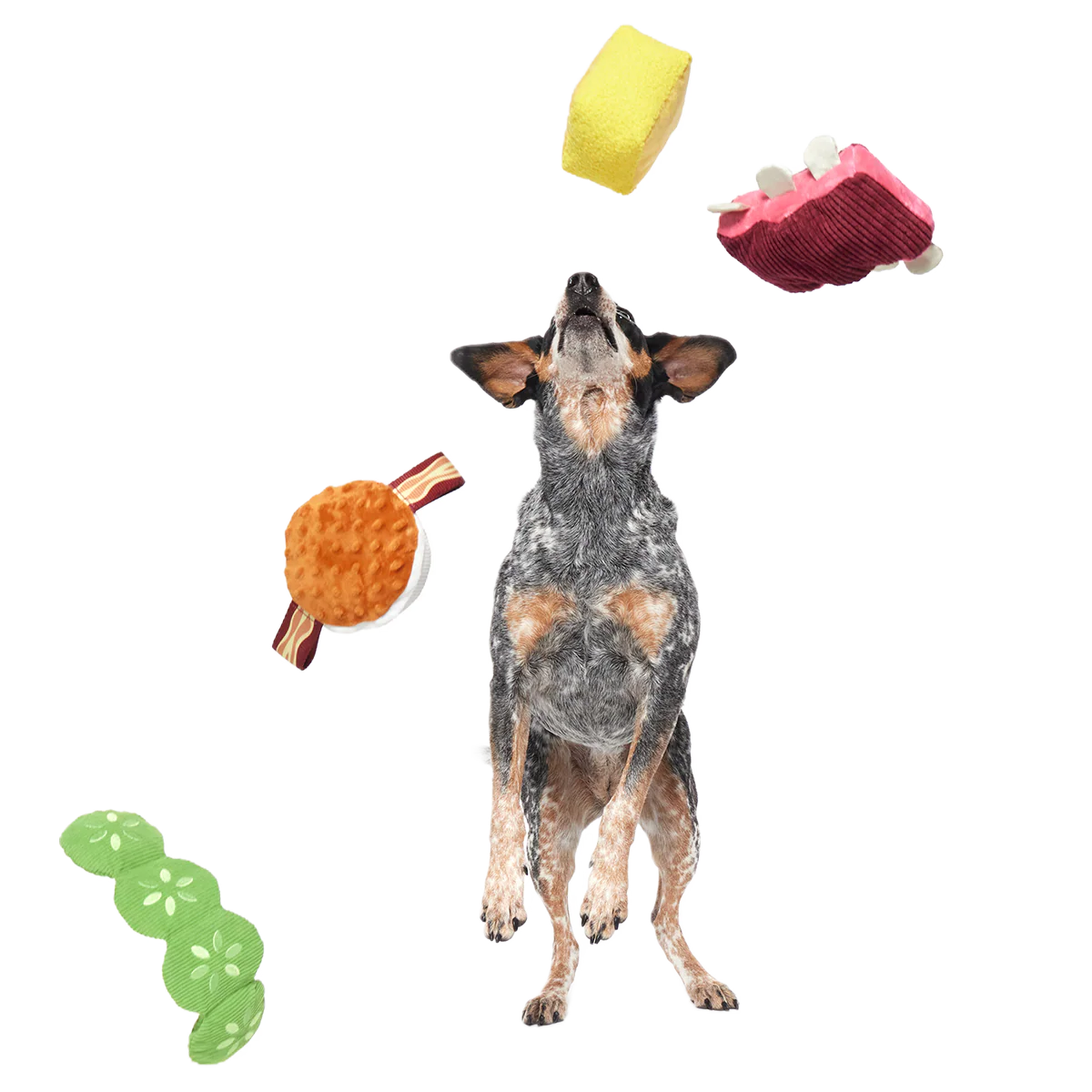 Squeak & Three Plush Multi-Part Dog Toy - Image 4