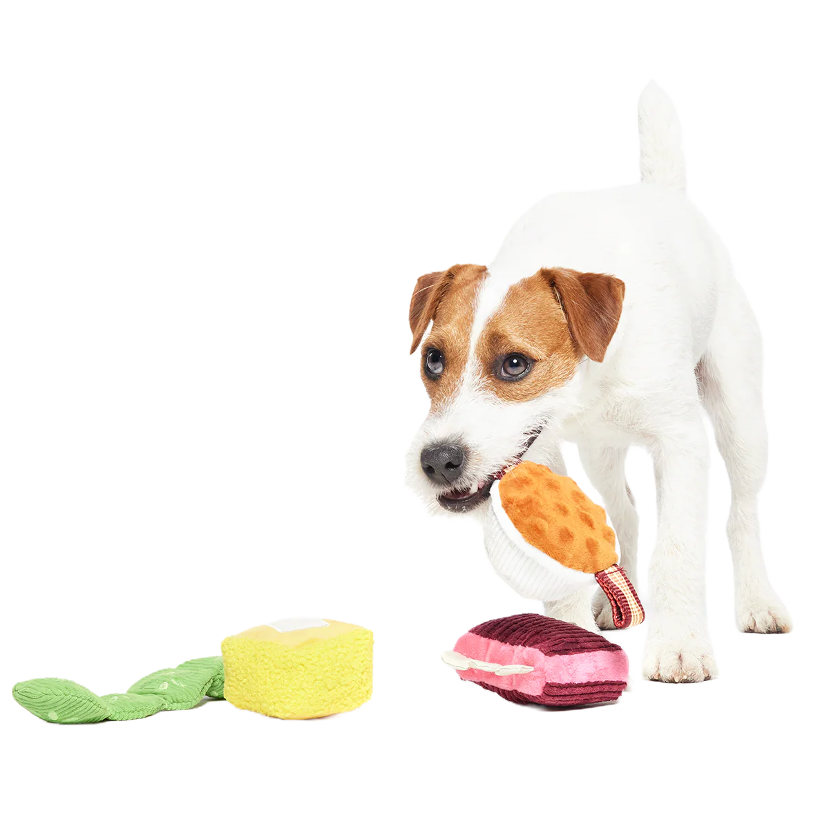 Squeak & Three Plush Multi-Part Dog Toy - Image 5