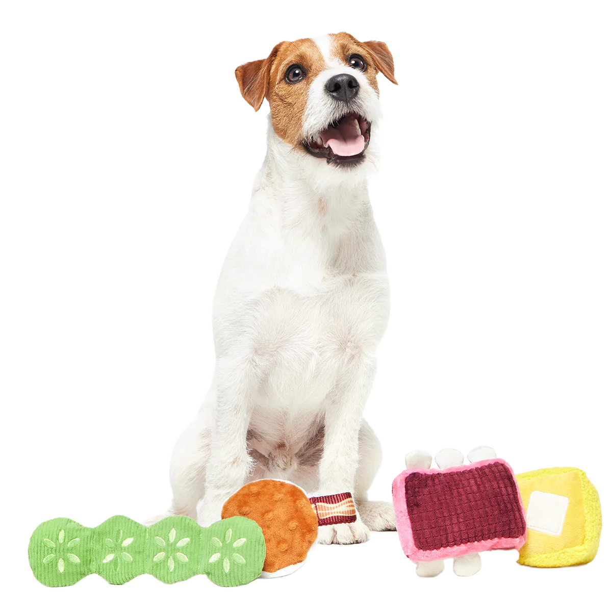 Squeak & Three Plush Multi-Part Dog Toy - Image 6