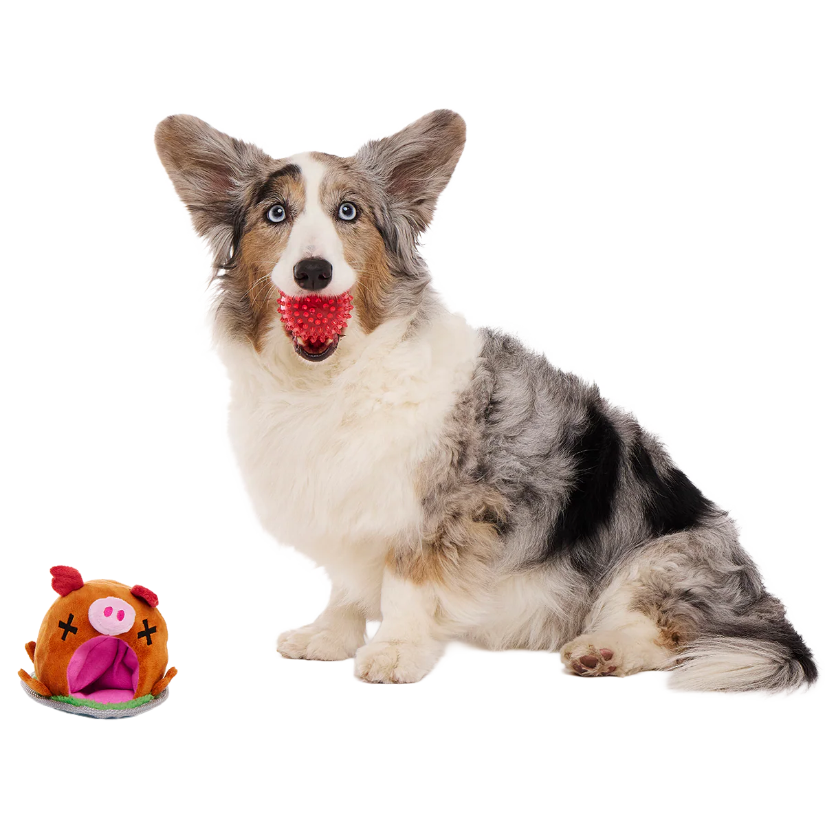 Squeakling Pig Plush Multi-Part + Enrichment + Fetch Dog Toy - Image 2