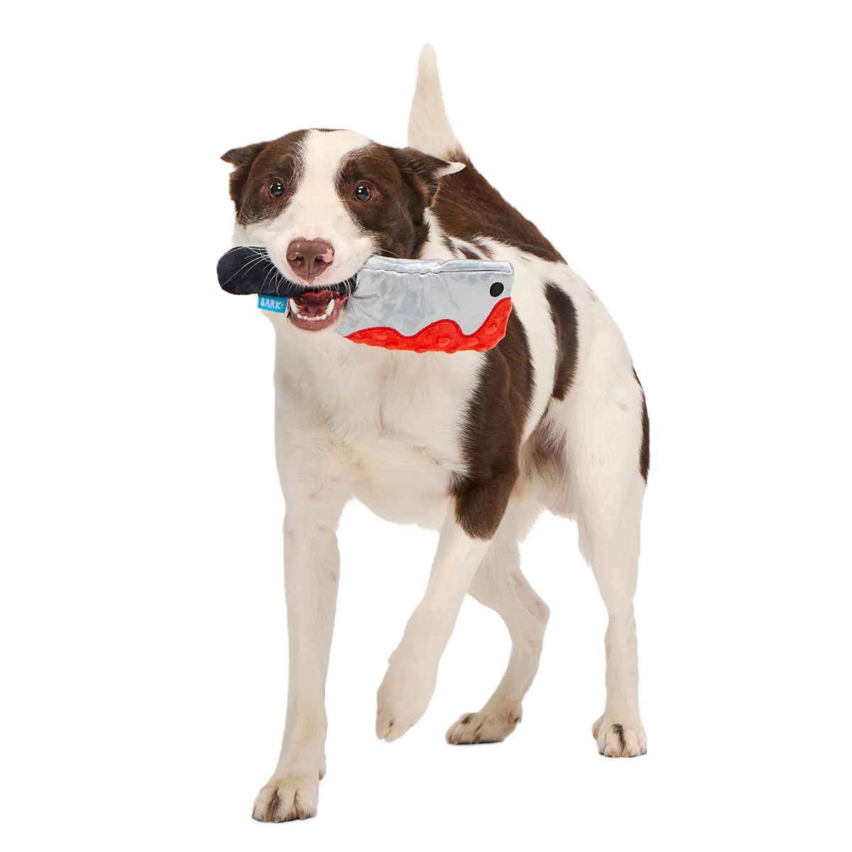 Last Laugh Bundle Plush Multi-Part Dog Toy - Image 3