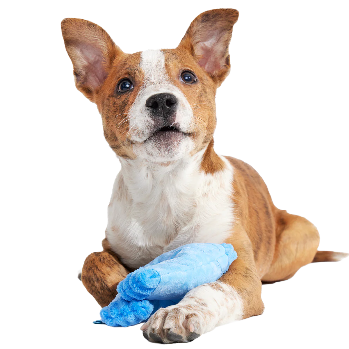 Squeaky Clean Mom Jeans Plush Tug Dog Toy - Image 2
