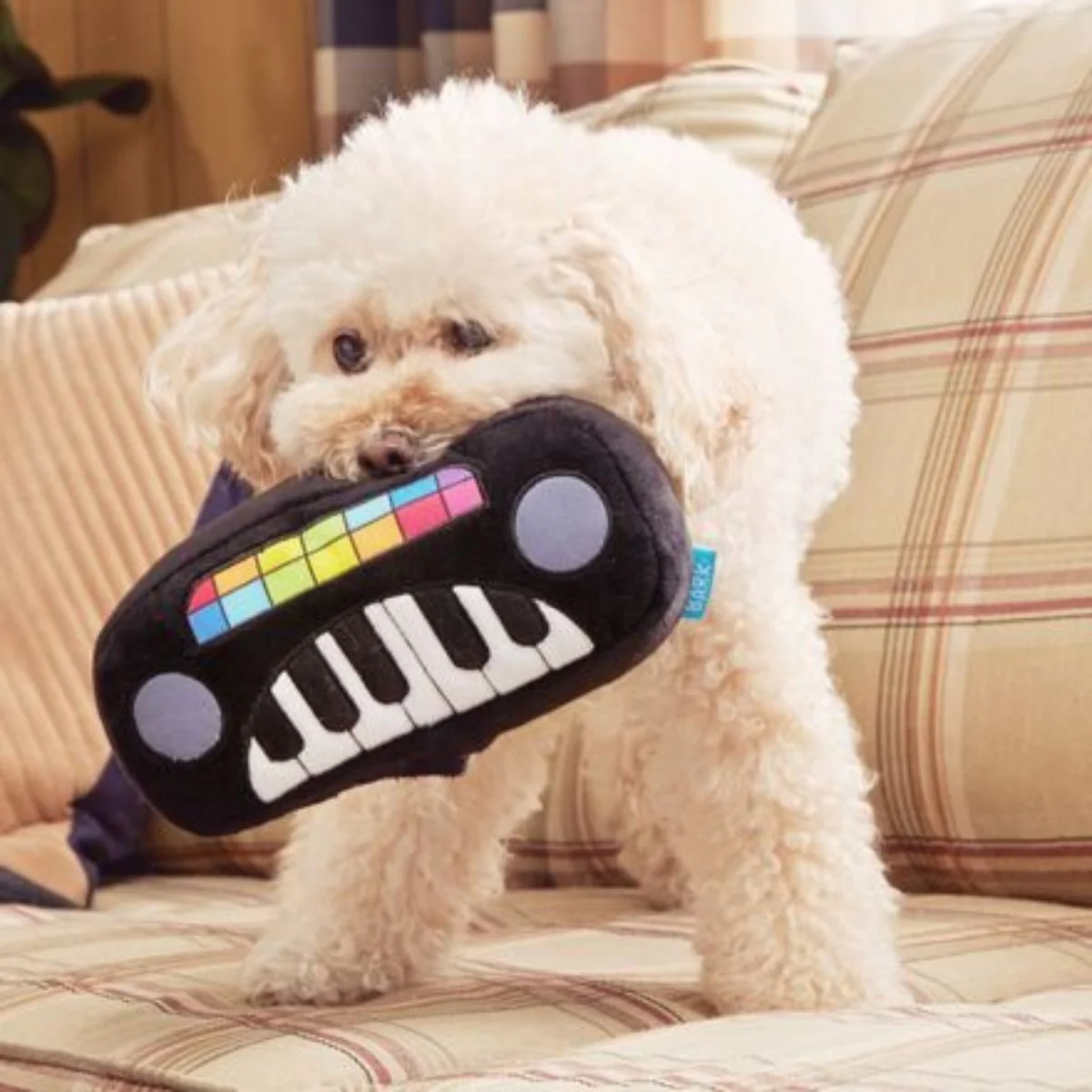 Squeaky Wonder Keyboard Plush Dog Toy - Image 4