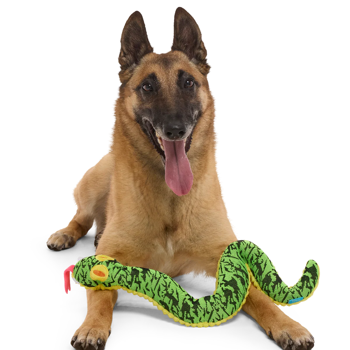Sssssssssteve Plush XXL Tug Dog Toy - Image 3