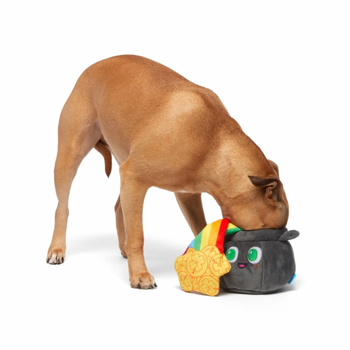 St. Pup's Pot o' Gold Plush Tug Dog Toy - Image 3