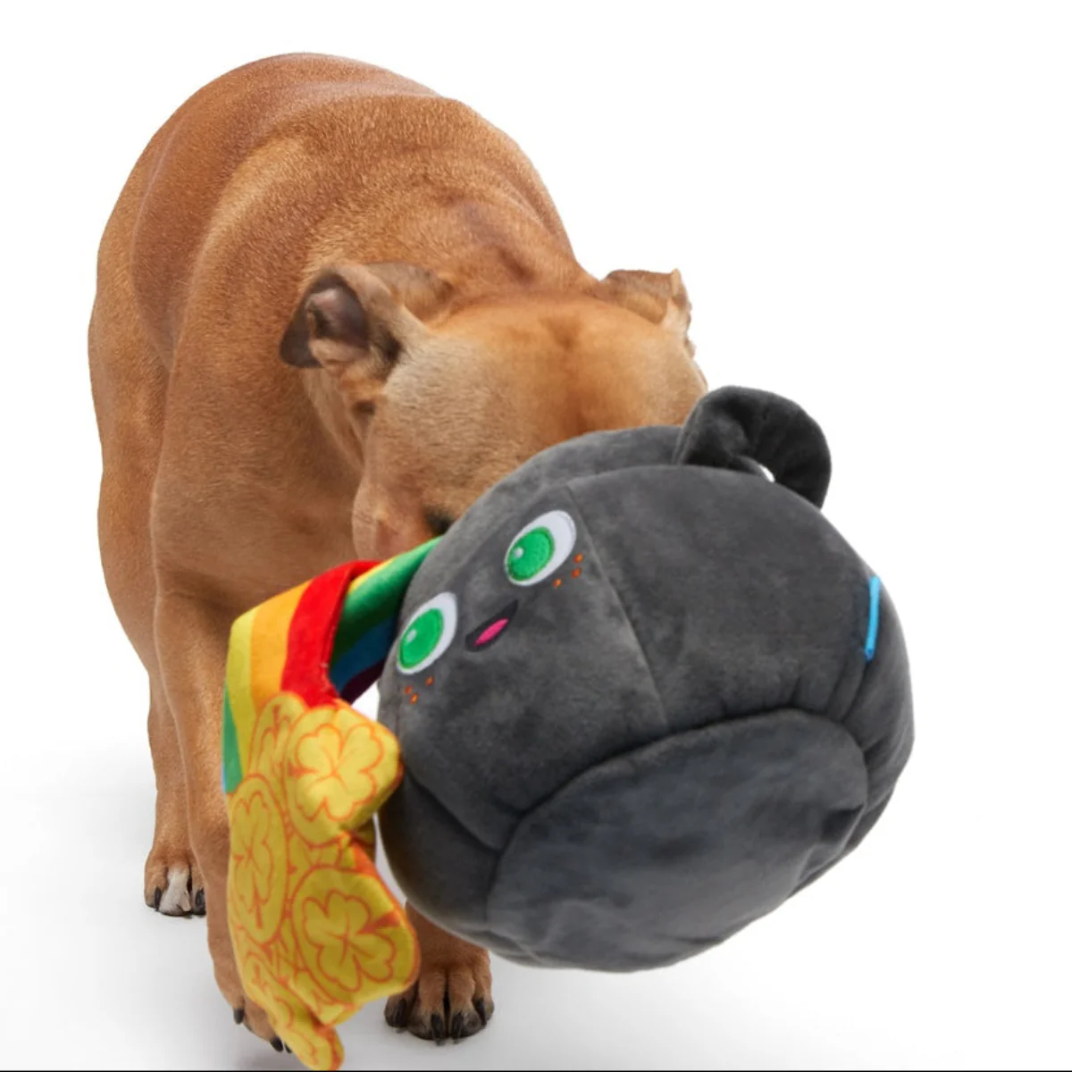 St. Pup's Pot o' Gold Plush Tug Dog Toy - Image 4