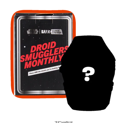 Star Wars™ Droid - IG-11™