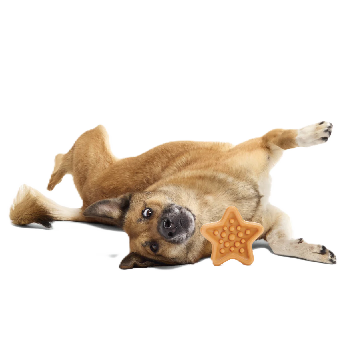 Starfish Snacker Super Chewer Durable Enrichment Dog Toy - Image 2