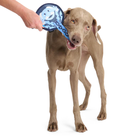 Statler and Waldorf as "Marley & Gnarley" Durable Super Chewer Tug Dog Toy - Image 3