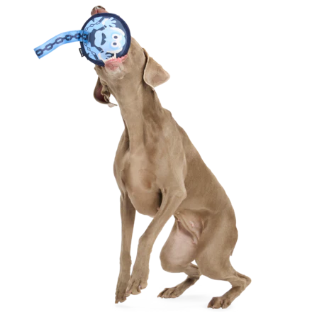 Statler and Waldorf as "Marley & Gnarley" Durable Super Chewer Tug Dog Toy - Image 4