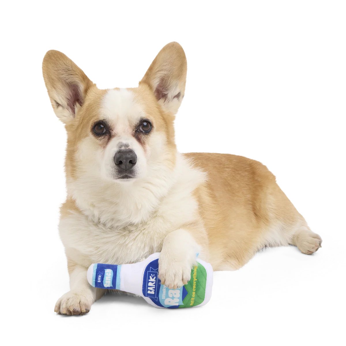 Stinky Valley Ranch Plush Tug Dog Toy - Image 3