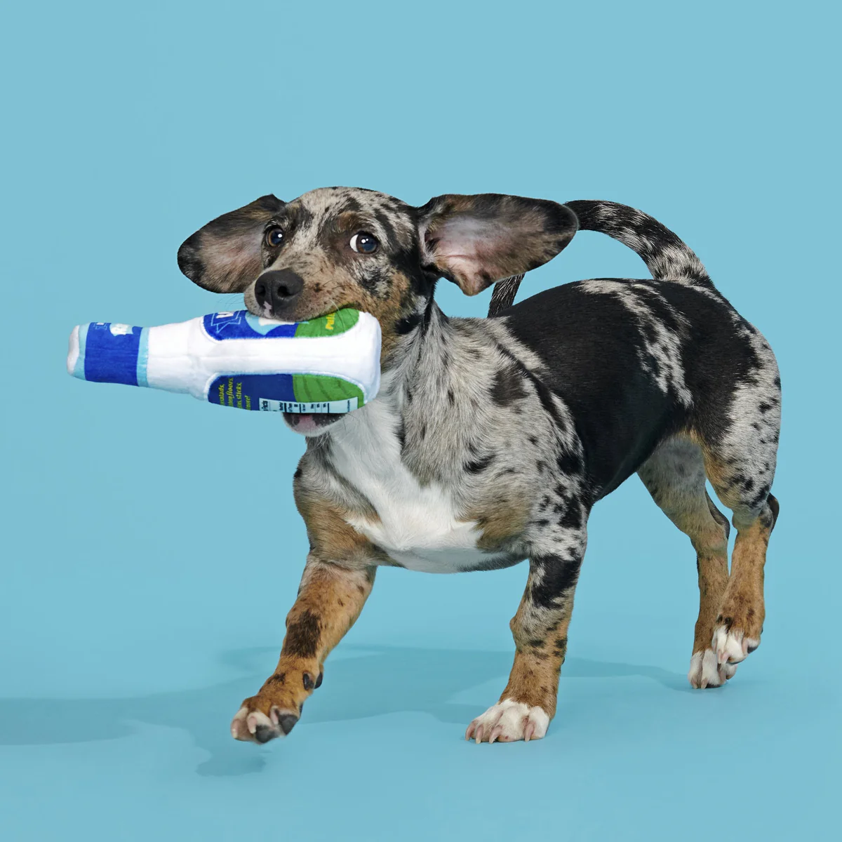 Stinky Valley Ranch Plush Tug Dog Toy - Image 4