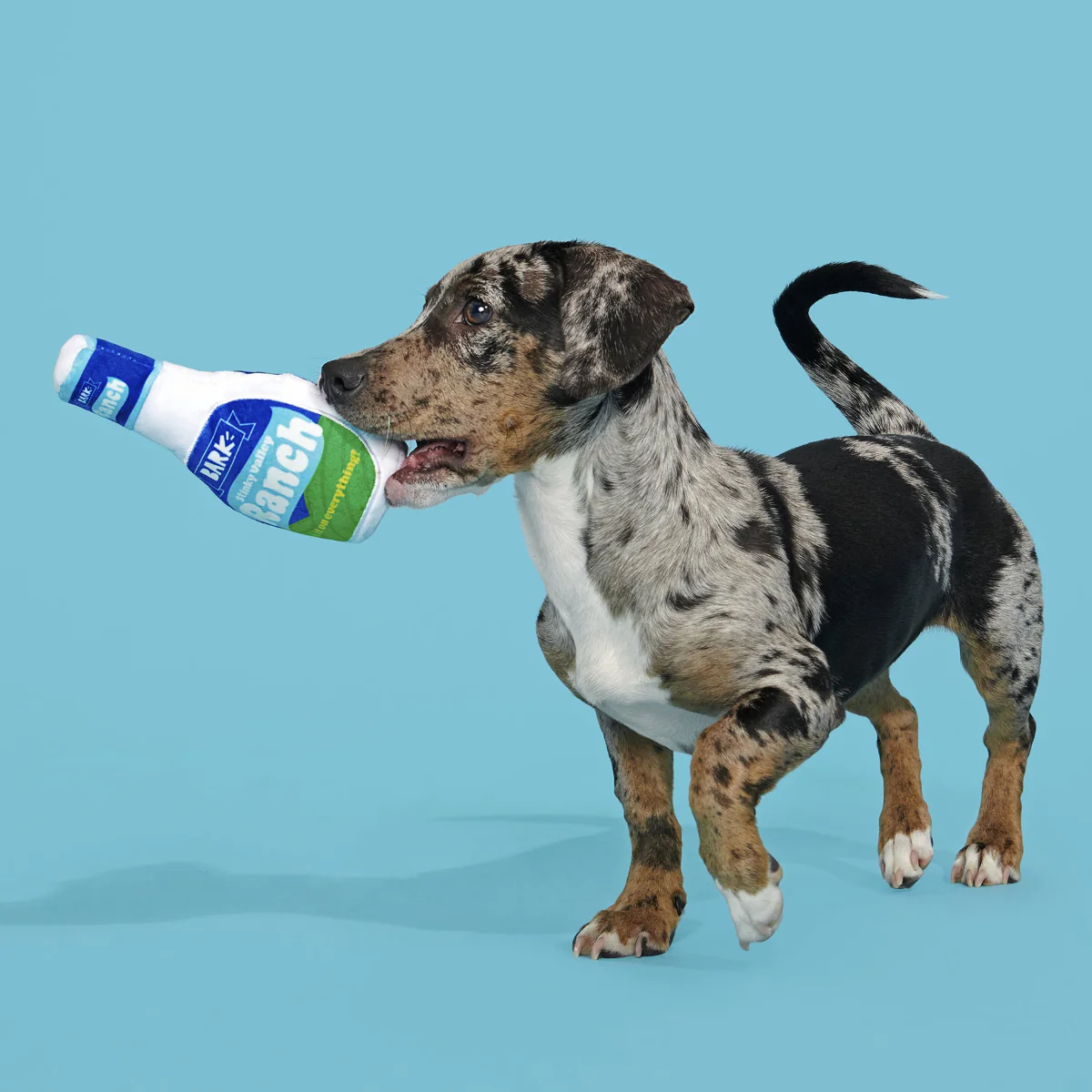 Stinky Valley Ranch Plush Tug Dog Toy - Image 5