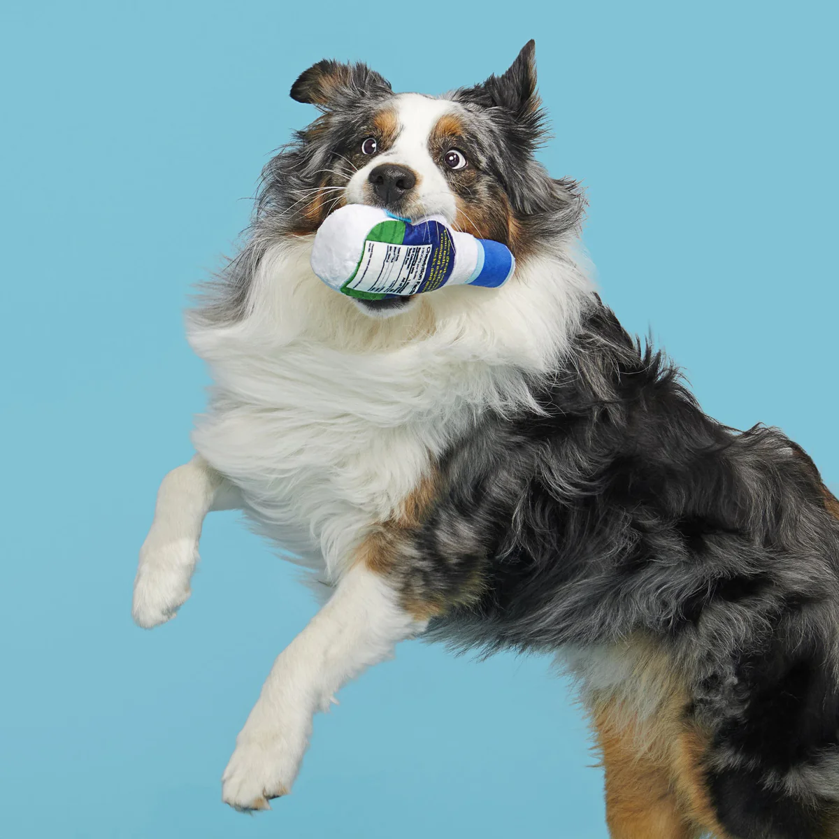 Stinky Valley Ranch Plush Tug Dog Toy - Image 6