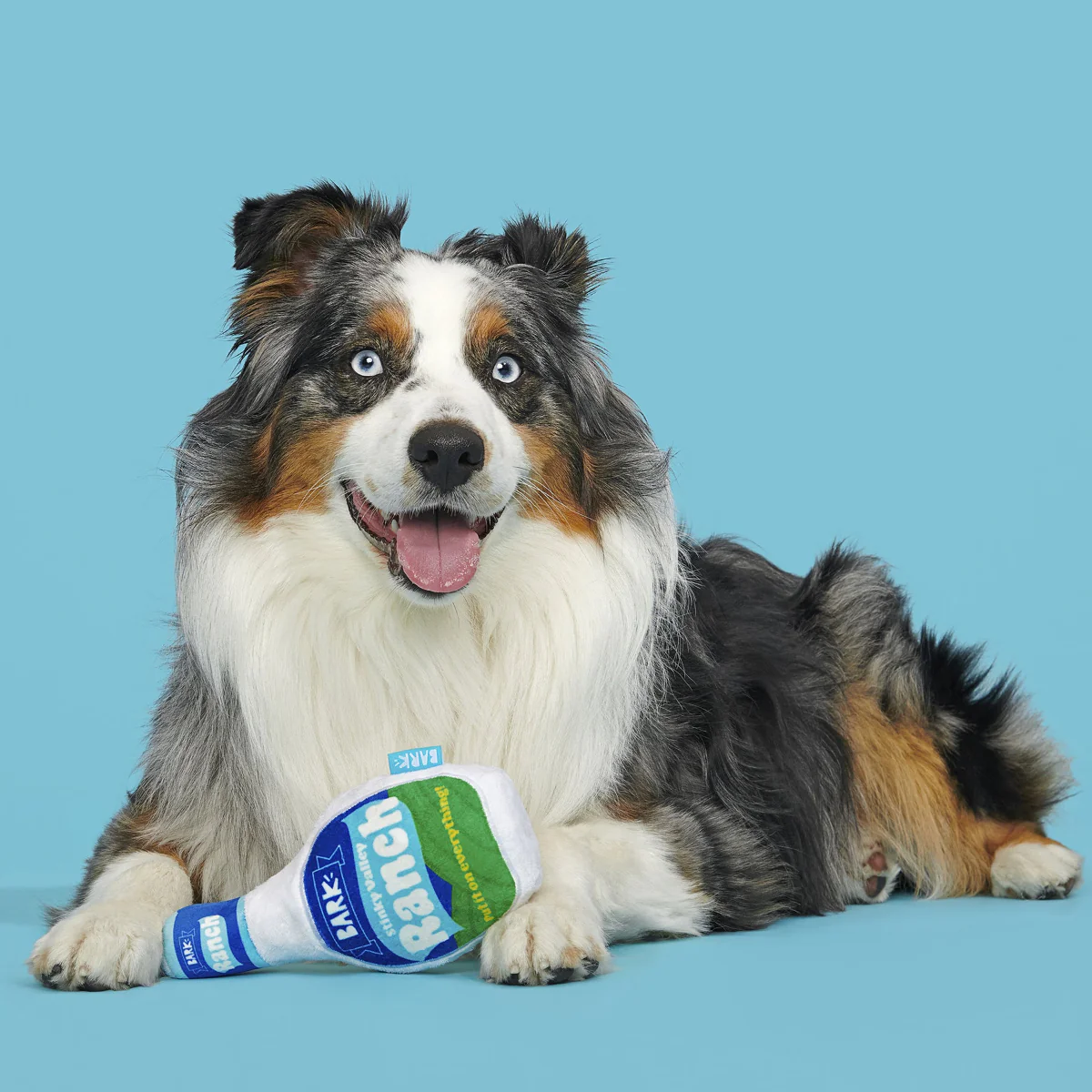 Stinky Valley Ranch Plush Tug Dog Toy - Image 7