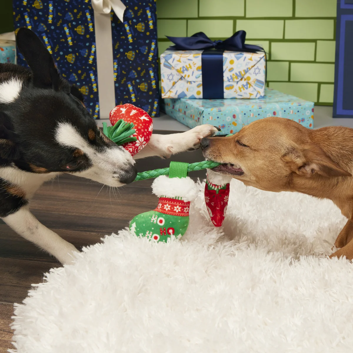 Stocking Tuggers Plush Tug Dog Toy - Image 3