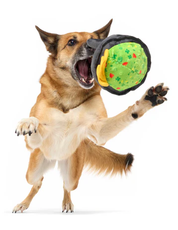 Stop, Guac, & Mole Plush Dog Toy - Image 3