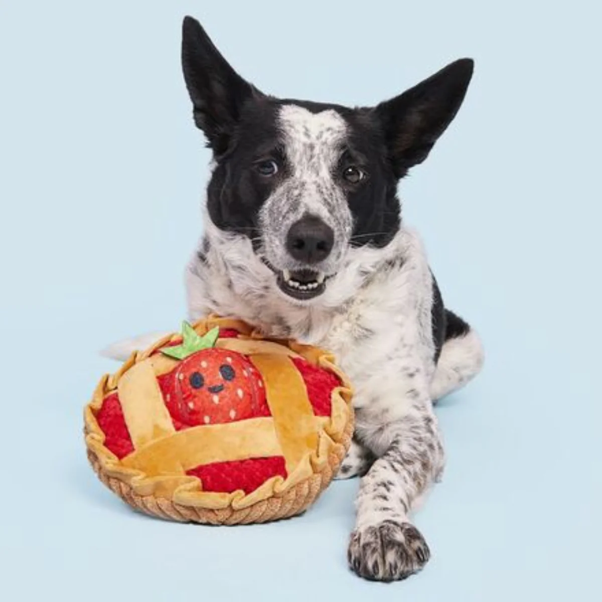 Strawberry Pie Plush Multi-Part + Enrichment Dog Toy - Image 3