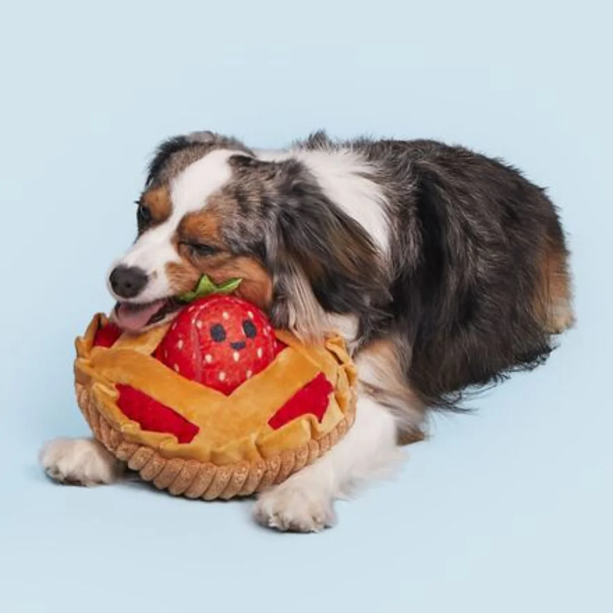 Strawberry Pie Plush Multi-Part + Enrichment Dog Toy - Image 5