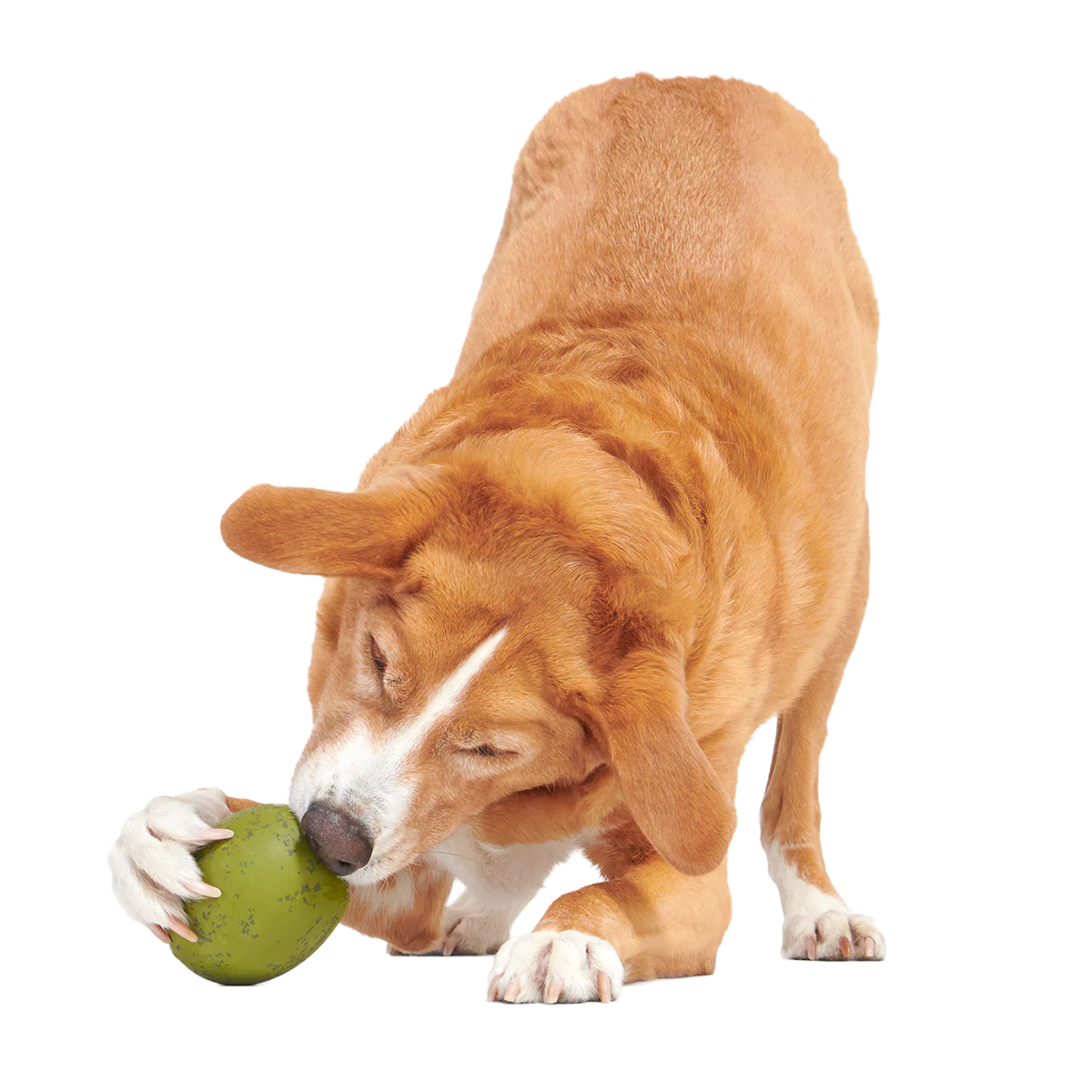 Stuffed Olive Super Chewer Durable Enrichment Dog Toy - Image 2