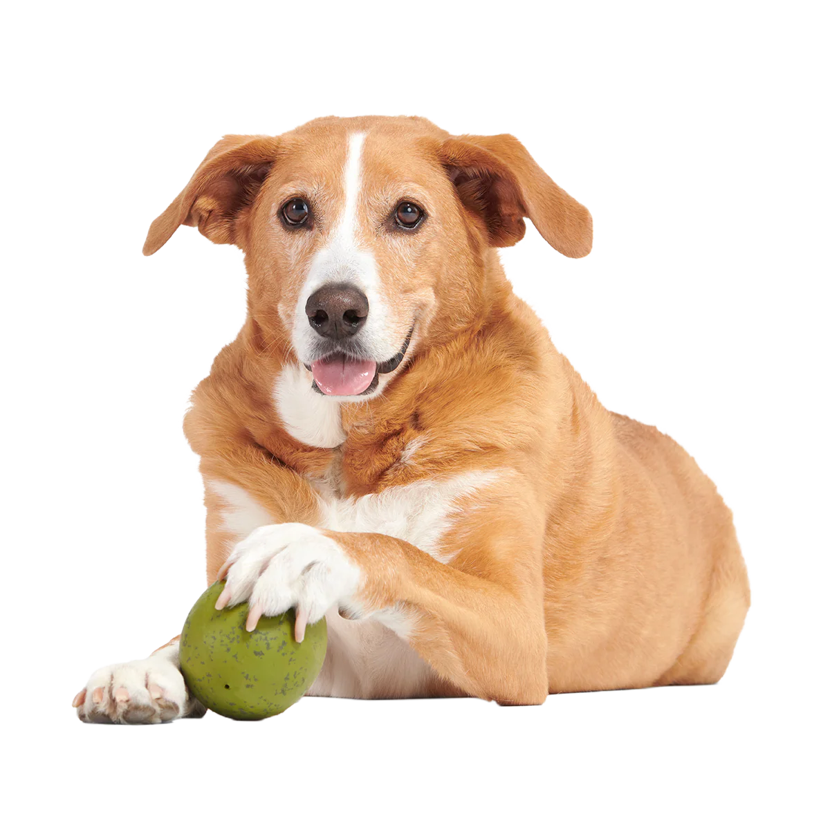 Stuffed Olive Super Chewer Durable Enrichment Dog Toy - Image 4