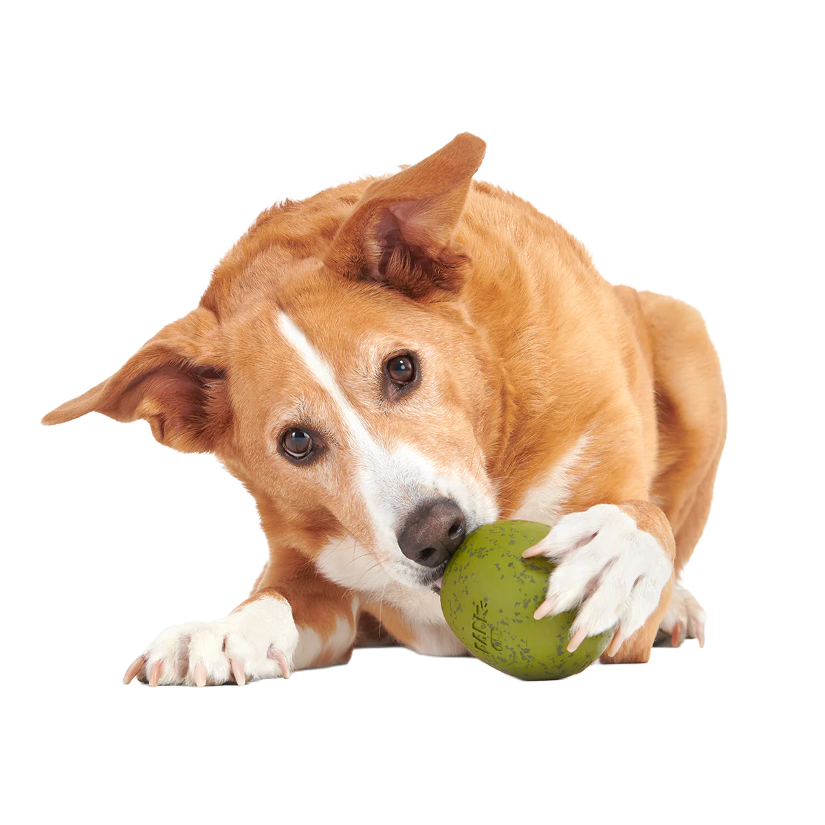 Stuffed Olive Super Chewer Durable Enrichment Dog Toy - Image 5