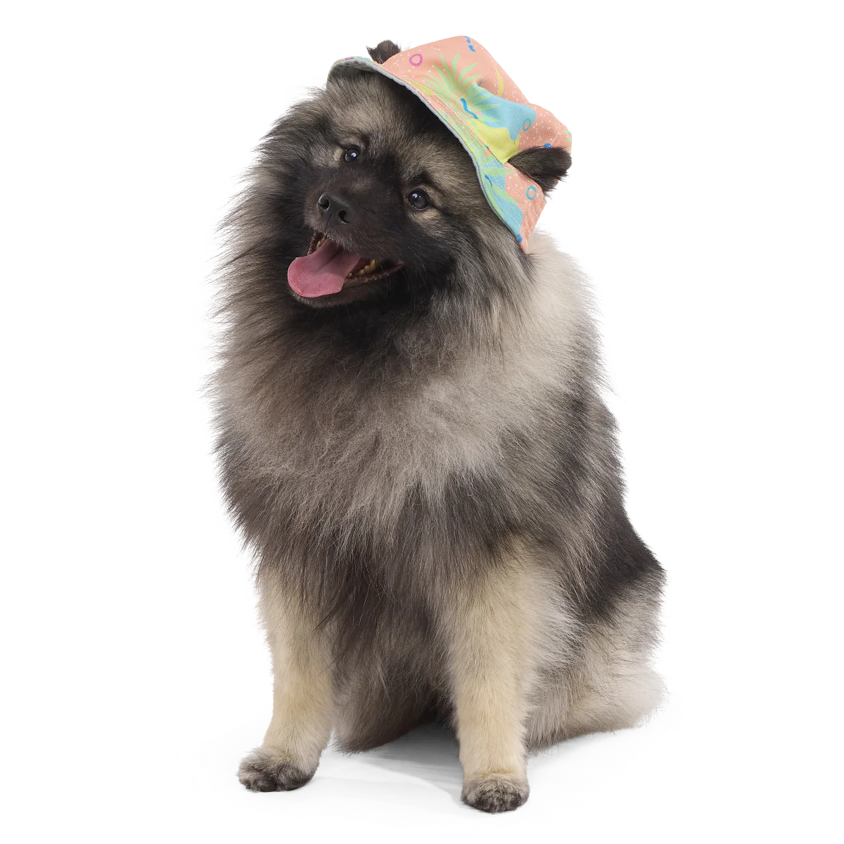Summertime Reversible Bucket Dog Hat - Image 3