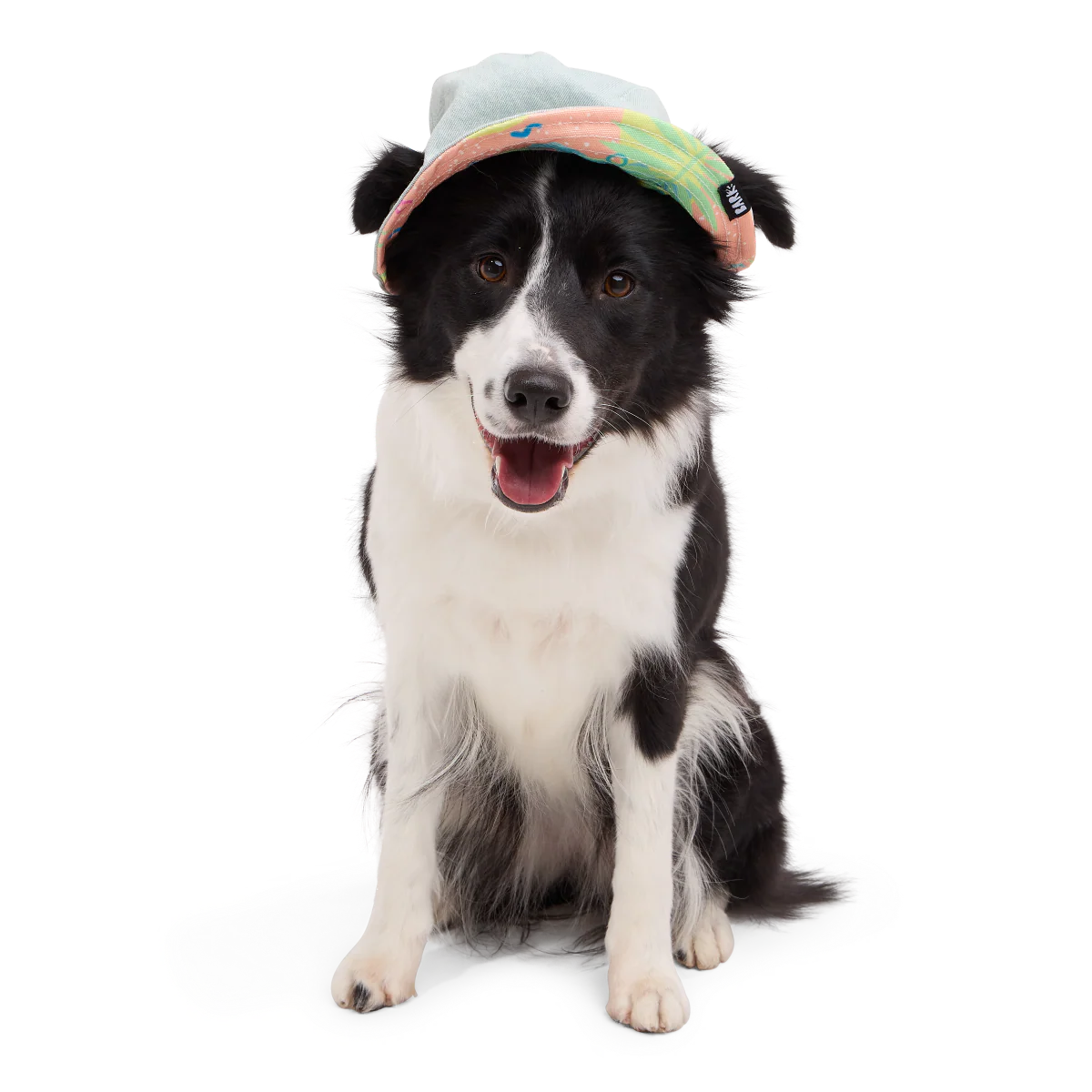 Summertime Reversible Bucket Dog Hat - Image 4