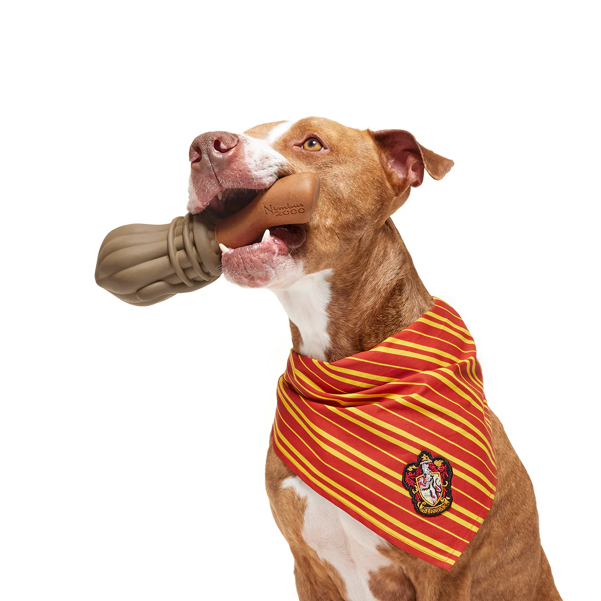 Nimbus 2000™ Durable Super Chewer Tug + Gnaw Dog Toy - Image 3