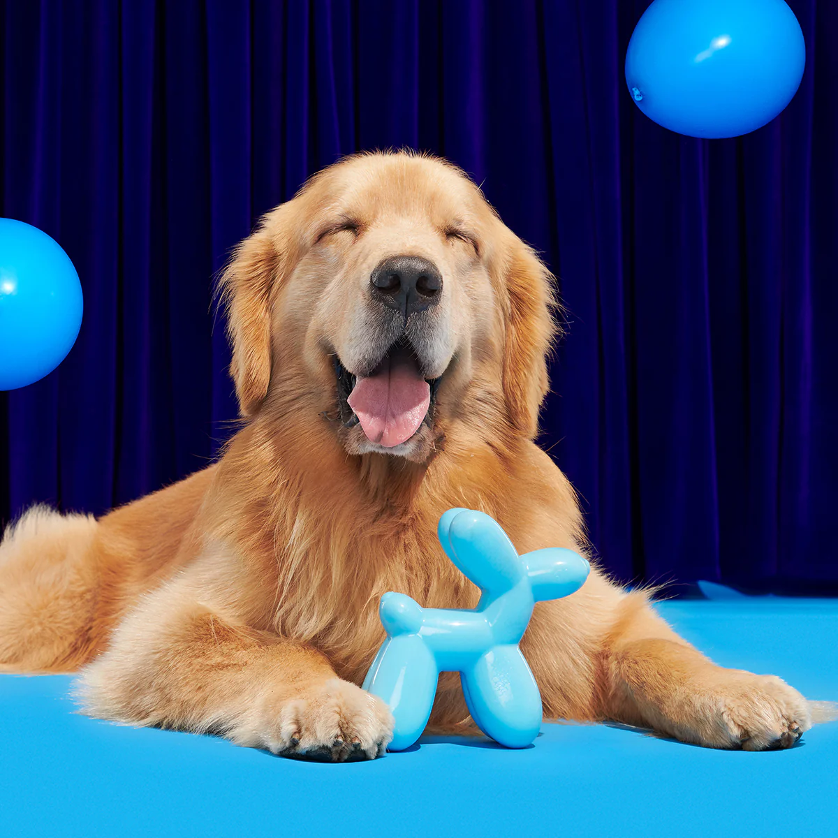 Birthday Super Chewer Box (Toy-Only) - One Month Gift Box - Image 17