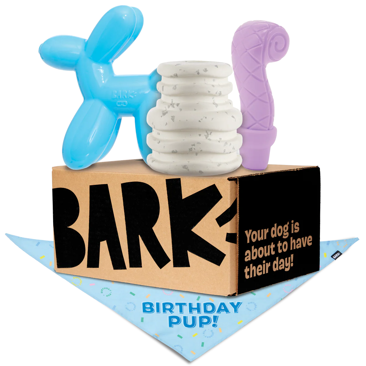 Birthday Super Chewer Box (Toy-Only) - One Month Gift Box - Image 3