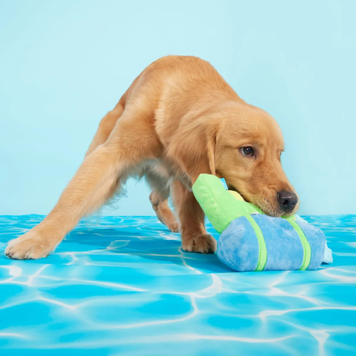Super Slobber Plush Tug Dog Toy - Image 3