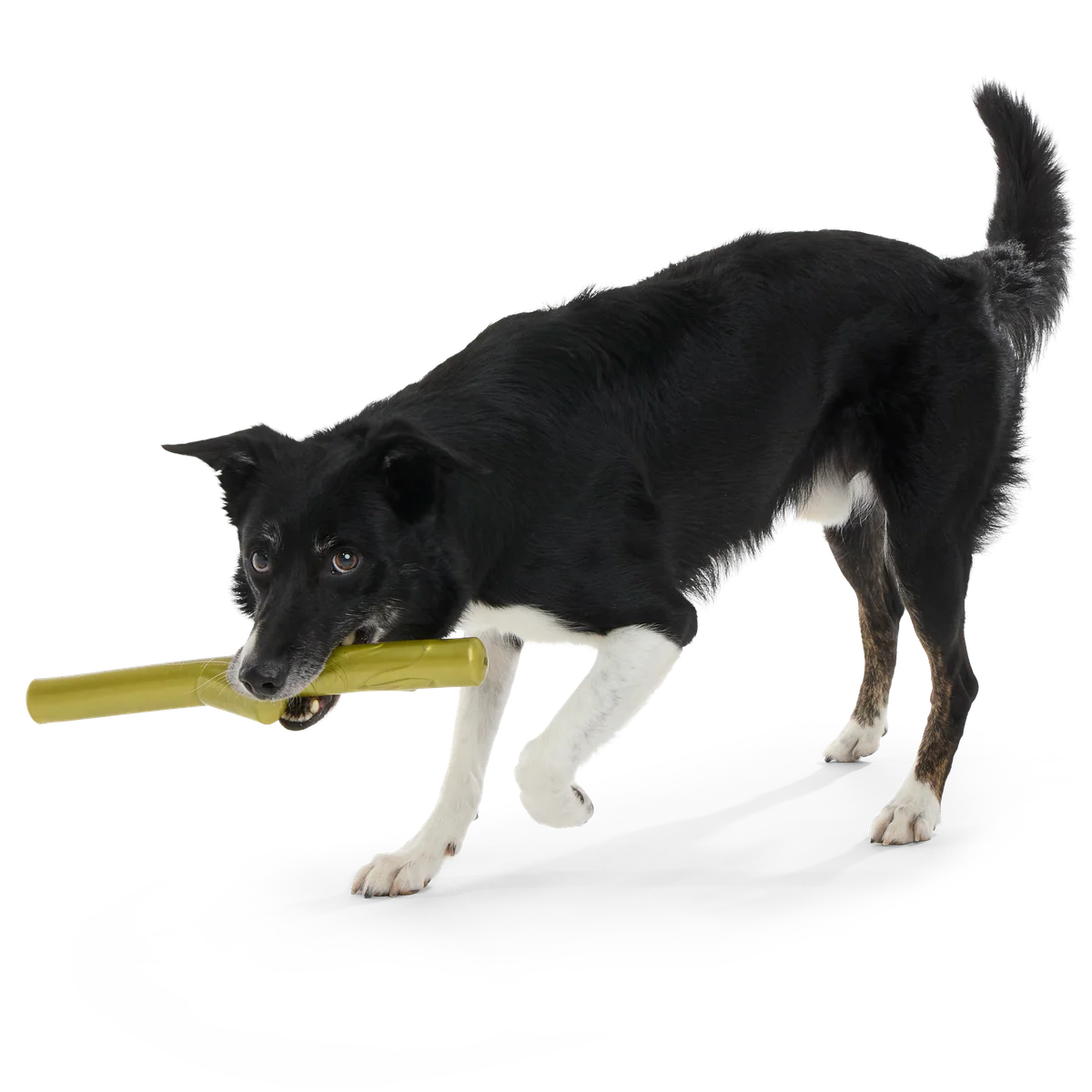 Super Stick Supreme Durable Super Chewer Fetch + Extra-Large Dog Toy - Image 7