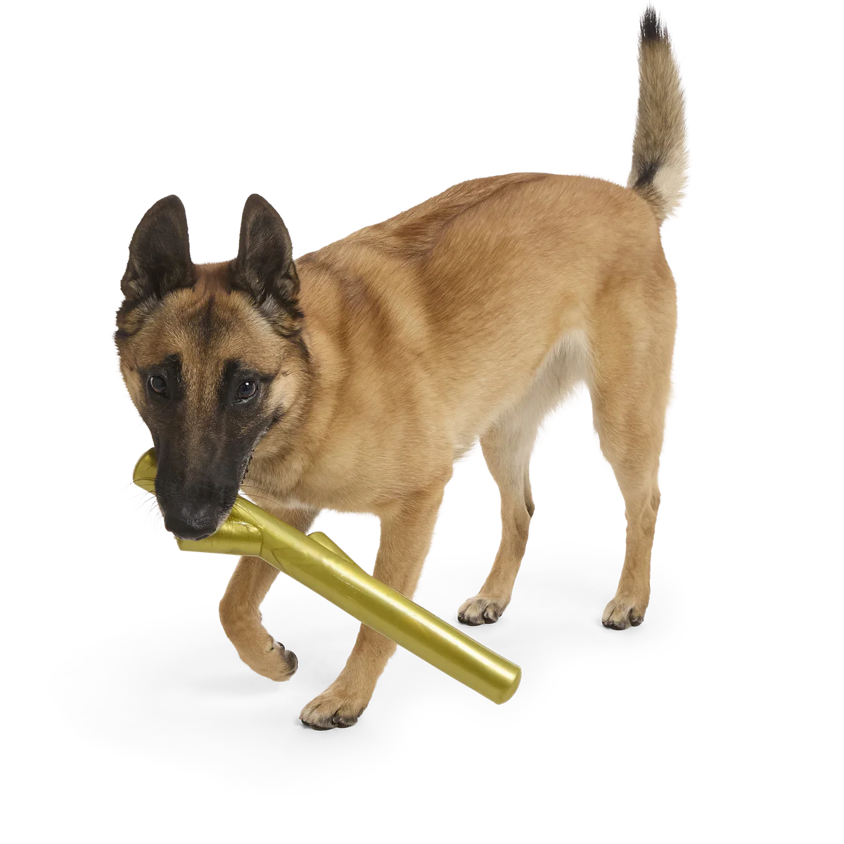 Super Stick Supreme Durable Super Chewer Fetch + Extra-Large Dog Toy - Image 8