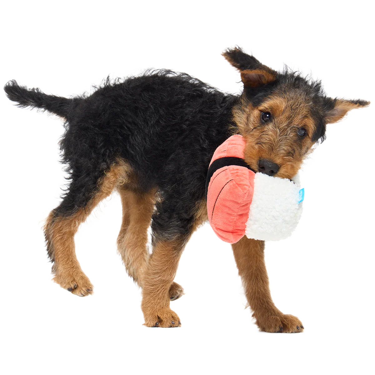 Super Tasty Tuna Sushi Plush Dog Toy - Image 3