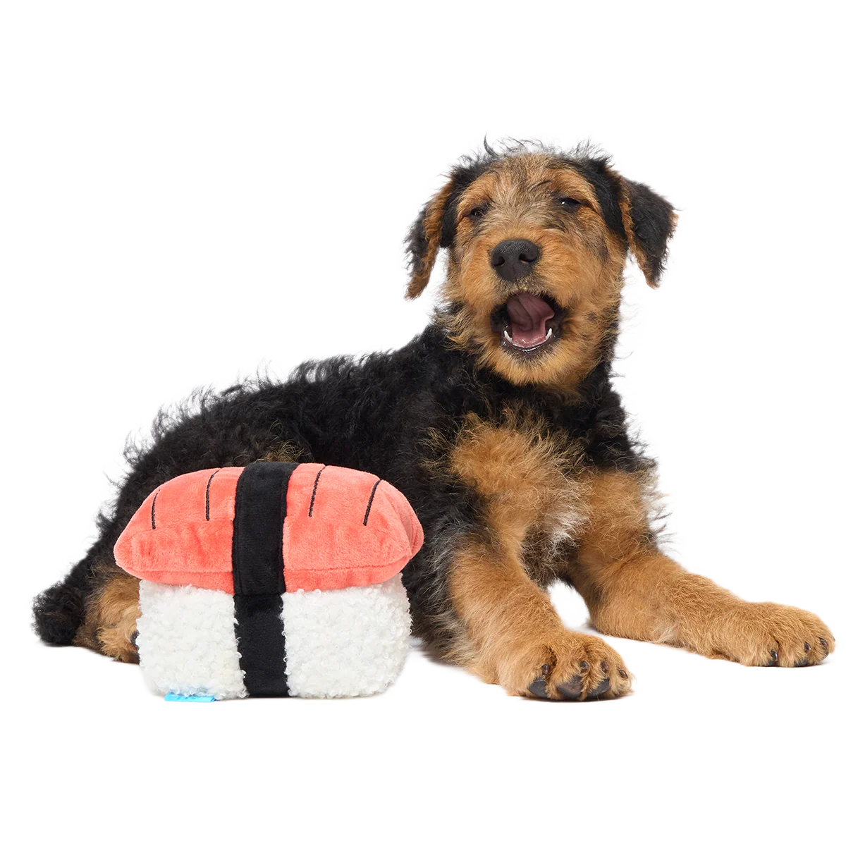 Super Tasty Tuna Sushi Plush Dog Toy - Image 4
