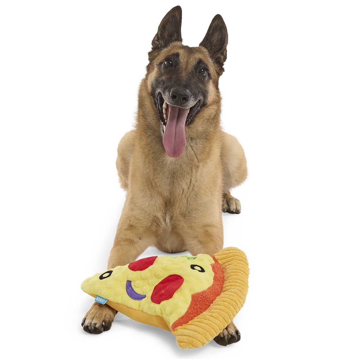 Supersize Slice Plush Extra-Large Dog Toy - Image 4