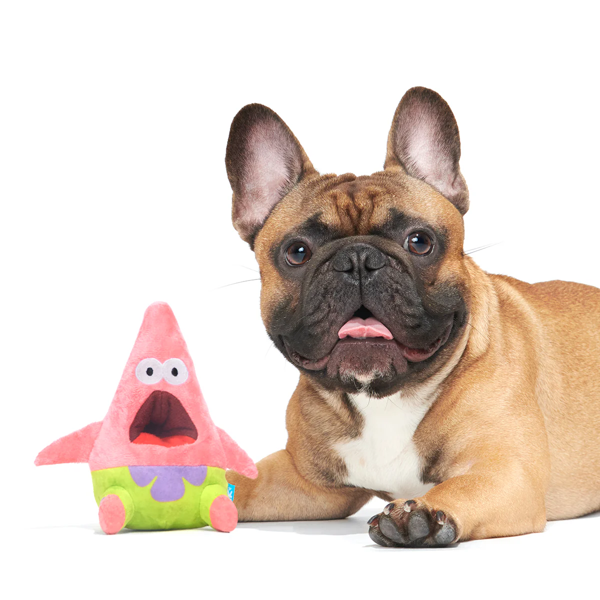 Surprised Patrick - Image 4