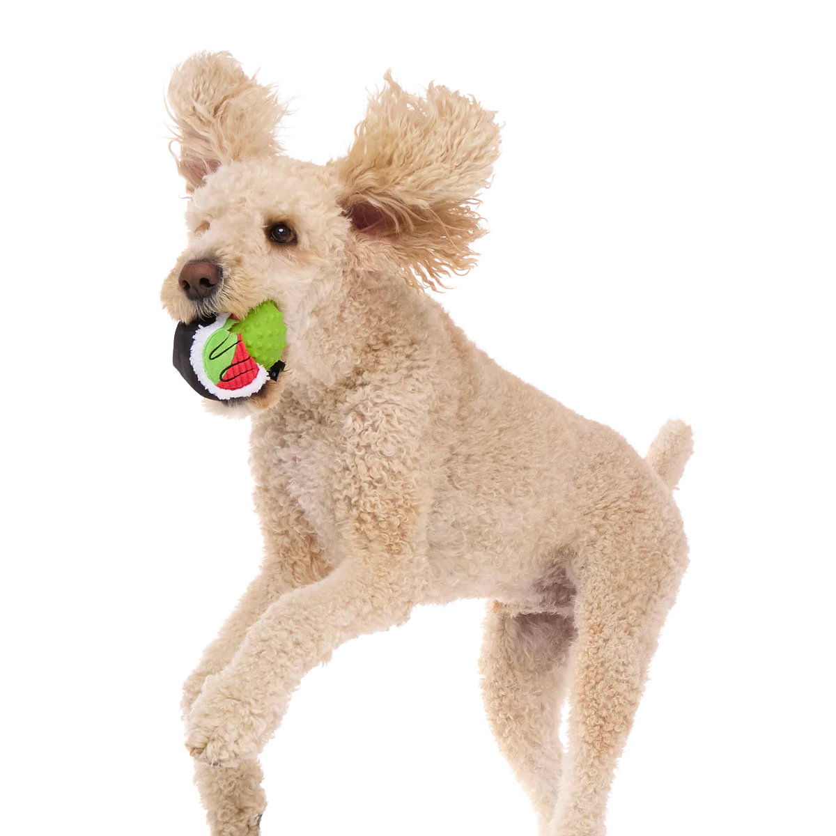 Sushi Roller Super Chewer Durable 2-in-1 + Fetch Dog Toy - Image 3